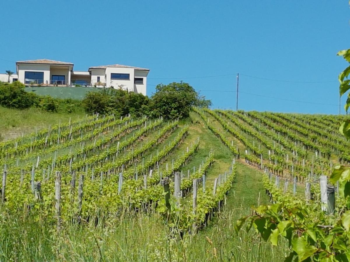 Gite Las Colina Rabastens Esterno foto